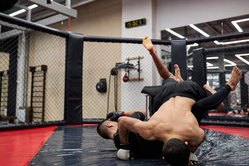 No-gi (grappling) à Toulouse